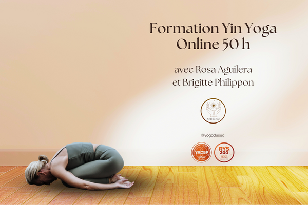 Formation yin yoga 50h - En ligne