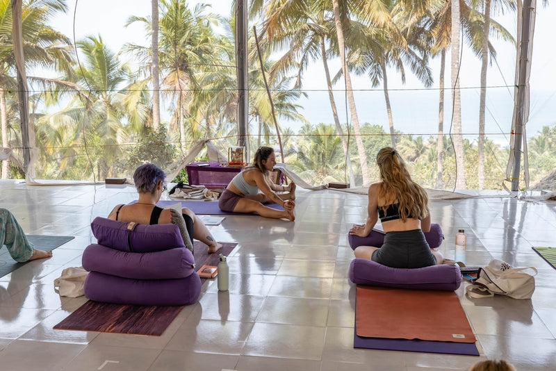 Formation yoga & mindset Ashtanga Vinyasa 200h - Inde