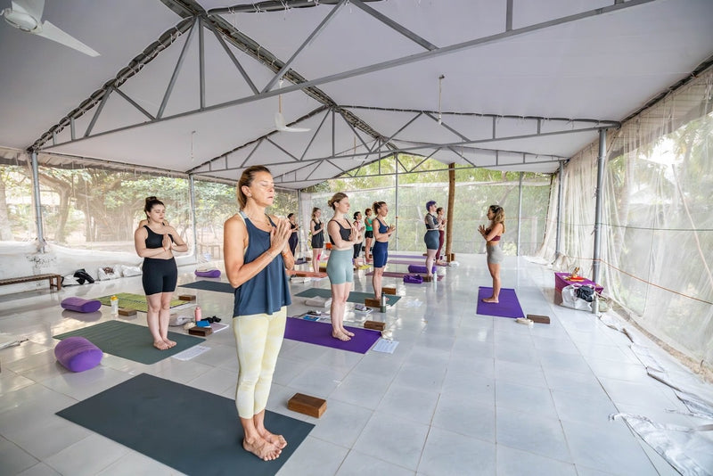Formation yoga & mindset Ashtanga Vinyasa 200h - Inde